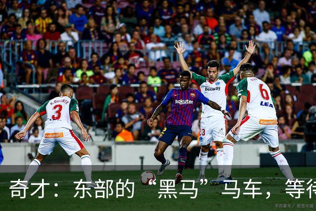 奇才：东部的“黑马”马车，等待扬鞭起飞！